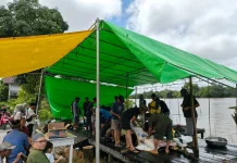 Bantuan Sapi Kurban Pemkab Sintang Disambut Syukur Masyarakat Ulak Jaya