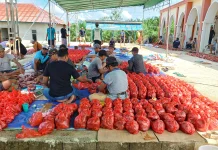 Warga Binjai Hulu Potong 10 Sapi Kurban di Masjid Al-Huda