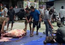Masjid Ikhwanul Muslimin Sembelih 13 Hewan Kurban