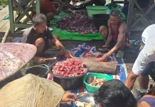 Puspawaja Sintang Salurkan Kurban
