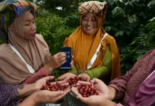 Dukung Ketahanan Pangan Nasional, BRI Salurkan KUR 558 Ribu Petani