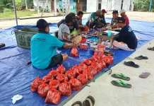 Iduladha 1447 H Momentum Bangkitkan Semangat Berbagi