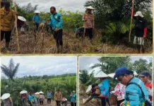 Polsek Kayan Hilir Tanam Jagung Kuartal II Dukung Swasembada Pangan 2026
