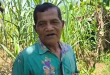 Petani di Sintang Raup Rezeki dari Hasil Penjualan Tebu