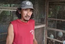 Peternak Ayam Petelur di Sintang Raup Jutaan Rupiah Perbulan
