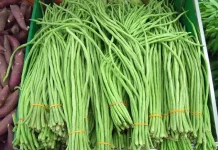Kacang Panjang, Sayuran Murah dengan Segudang Manfaat untuk Kesehatan