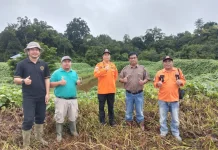 BPBD Sintang Sosialisasikan Cegah Karhutla pada Masyarakat