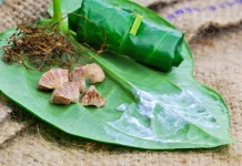 Makna Tradisi Sirih Pinang dalam Budaya Dayak