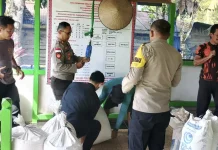 Polsek Putussibau Utara Jual Hasil Panen Jagung, Dukung Ketahanan Pangan