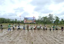 Pemkab Sintang Apresiasi Indeks Tanam Padi di Desa Merarai Dua Capai 300