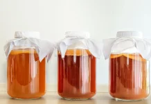 Mengenal Kombucha, Minuman Fermentasi yang Baik untuk Kesehatan Pencernaan