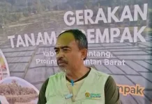 Pupuk Subsidi Tidak digunakan untuk Sawit tetapi Tanaman Tertentu