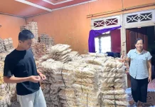 Anak Pedagang Kerupuk Sintang Lolos Paskibraka Nasional
