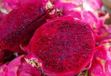 Superfood Lokal: Segudang Khasiat Alami Buah Naga