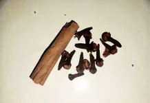 Obat Kumur Alami dari Cengkeh dan Kayu Manis