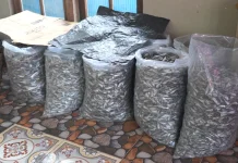Ikan Asin  Komoditi Andalan Desa Empangau Kapuas Hulu