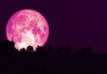 Strawberry Moon,Fenomena Langka Setiap 19 Tahun