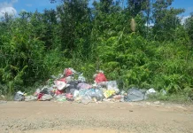 Kesadaran Kelola Sampah Perlu Ditingkatkan untuk Cegah Pencemaran Lingkungan