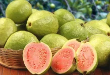 Jenis – jenis Buah yang Sangat Baik untuk Penderita DBD