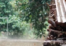 Pentingnya Kesiapan Masyarakat Menghadapi Perubahan Iklim