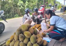 Pasar Durian Musiman di Jalan Lingkar Wisata Baning Ramai Pembeli
