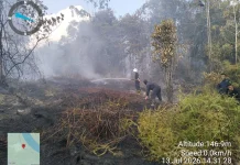 Kebakaran Lahan di Simba Raya Hanguskan Dua Hektar Lahan