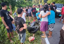 Lakalantas di Sekadau Tewaskan Dua Orang Warga