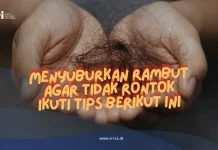 Menyuburkan Rambut agar Tidak Rontok Ikuti Tips Berikut ini