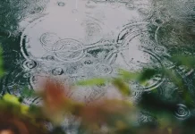 Air Hujan Lebih Asam atau Basa? Ini Penjelasannya