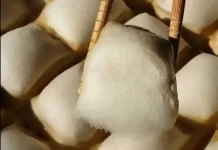 Tahu Berjamur atau Moldy Tofu
