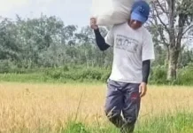 Petani Kelam Permai Terancam Gagal Panen