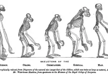 Teori Evolusi Darwin dan Warisannya bagi Ilmu Pengetahuan