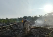 Personil Polsek Silat Hulu Lakukan Pengecekan dan Pencarian Hotspot Karhutla