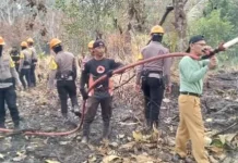Tiga Area Lahan di Sintang Hangus Terbakar