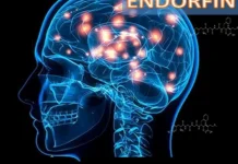 Fungsi Hormon Endorfin dan Cara Memicunya