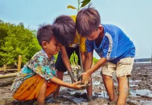 Menanam Pohon Ajarkan Anak Cinta Lingkungan