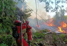 Tim Manggala Agni Padamkan Kebakaran di Tiga Wilayah