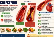 Cara Menurunkan Kolesterol Secara Alami dan Efektif agar Jantung Tetap Sehat
