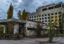 Jejak Kontaminasi Chernobyl pada Satwa Liar Eropa