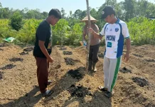 Dukung Ketahanan Pangan, Polsek Ella Hilir Bersama Pemdes Popay Tanam Jagung