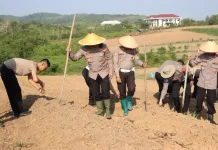 Kapolres Melawi Pimpin Penanaman Jagung Kuartal III Tahun 2026