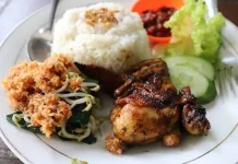 Panduan Gizi Seimbang Isi Piring Berdasarkan Kemenkes