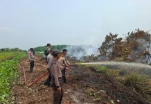 Tangani Karhutla Personel Polres Melawi Padamkan Api di Desa Nanga Kayan
