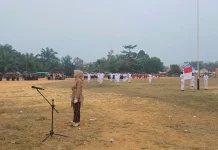 HUT ke-81 Kemerdekaan RI, Camat Binjai Hulu Ajak Warga Jaga Persatuan