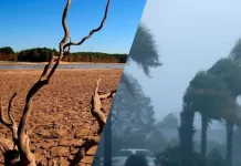 Fenomena El Niño dan La Niña yang Berdampak bagi Indonesia