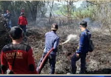 BMKG Sintang: El Nino Sangat Kuat Diperkirakan Terjadi hingga Awal 2027