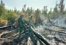 Aksi Cepat Babinsa Koramil Ketungau Hilir Tangani Karhutla di Desa Nanga Ketungau