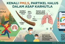 Kenali PM2,5, Partikel Halus yang Ada dalam Asap Karhutla