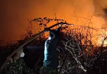 Tim Gabungan Padamkan Karhutla di Desa Balai Agung, Sintang