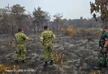 Brigjen TNI Zamroni Tinjau Lokasi Karhutla di Balai Agung, Sintang